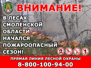 в лесах Смоленской области открыт пожароопасный сезон - фото - 1