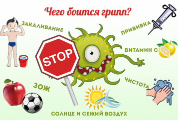 управление Роспотребнадзора по Смоленской области напоминает основные меры профилактики гриппа и ОРИ - фото - 1