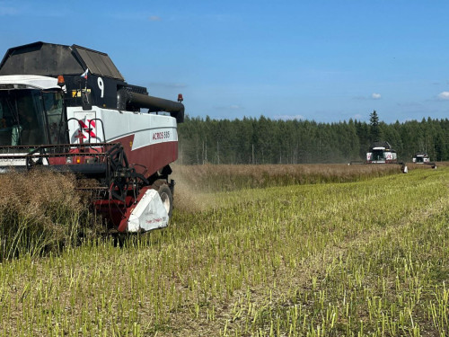 07112025_uborka-urozhaya-