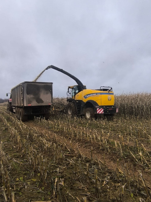 07112025_uborka-urozhaya-