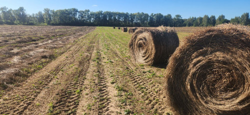 07112025_uborka-urozhaya