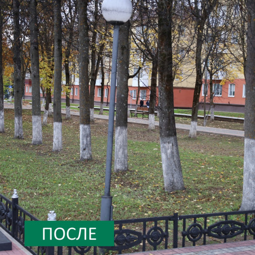 1510_subbotnik-10