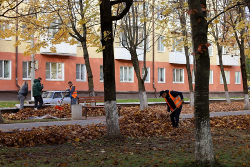 1510_subbotnik-4