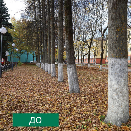 1510_subbotnik-9