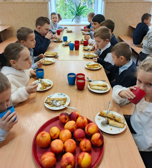 1709_pitanie-v-shkolah-3