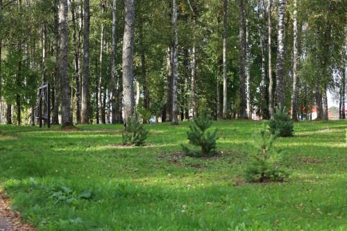 1709_subbotnik-10