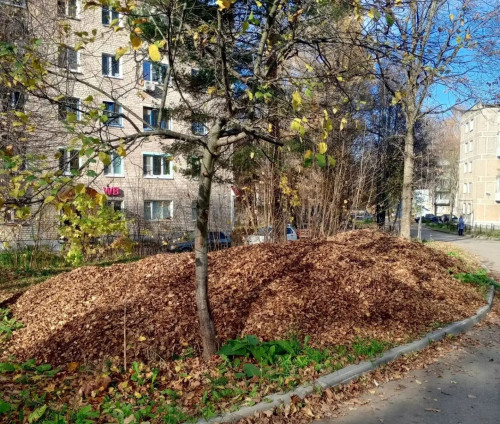 2310_park-shkolnyj-7