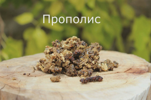 2909_podvore-6