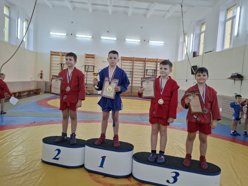 2_1712_turnir-po-sambo-pc