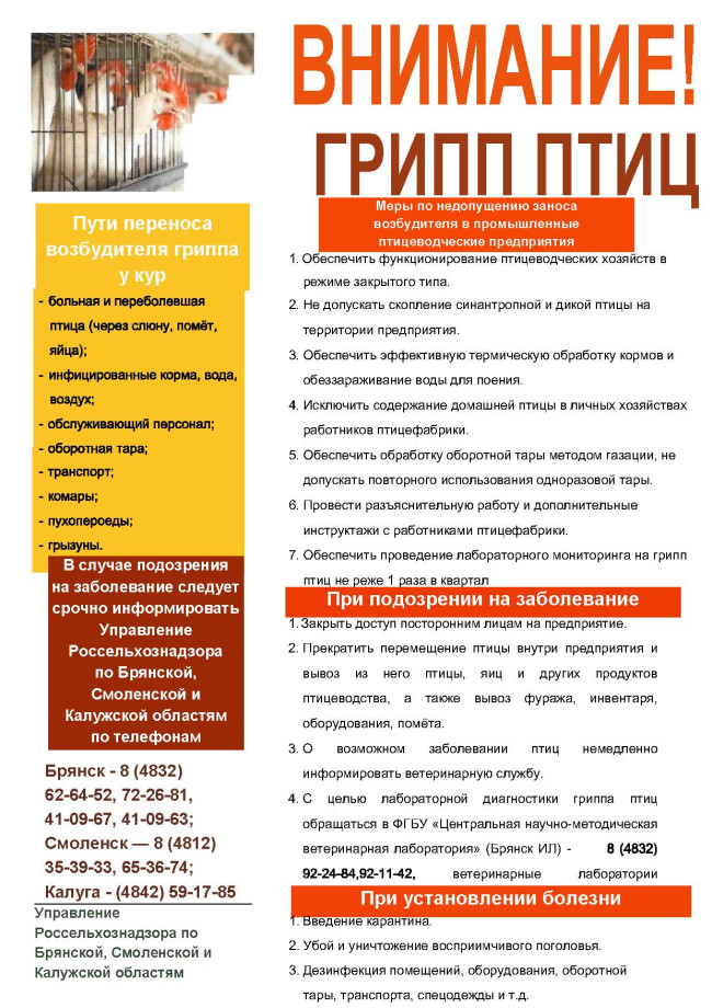 pamyatka_gripp-ptic