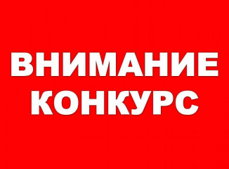 конкурс поделки из вторичного сырья «Сказочное превращение» - фото - 1