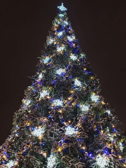 в Сафоново яркими огнями засияла главная новогодняя елка города и района - фото - 1