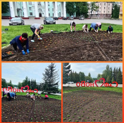 продолжаем работу по благоустройству и озеленению городских территорий - фото - 1