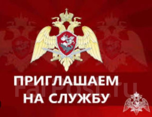​повышение уровня укомплектованности воинских частей и подразделений войск национальной гвардии Российской Федерации - фото - 1