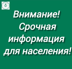 уважаемые жители города Сафоново - фото - 1