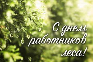 уважаемые сотрудники и ветераны лесной и лесоперерабатывающей отрасли - фото - 1