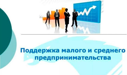предоставление грантов субъектам малого предпринимательства на реализацию проектов в сфере предпринимательства - фото - 1