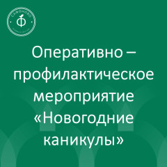 госавтоинспекция информирует с 22 по 26 декабря 2025 года пройдет мероприятие «Новогодние каникулы» - фото - 1