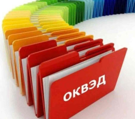 запущен новый сервис выбора кодов ОКВЭД - фото - 1