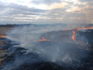 весенний пал травы - причина пожаров - фото - 1