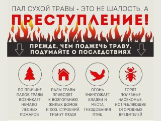 пал сухой травы - фото - 1