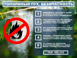 ​мку «Управление по делам ГО и ЧС г. Сафонове Смоленской области» напоминает - фото - 1