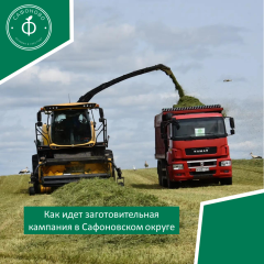 как идет заготовительная кампания в Сафоновском округе - фото - 1