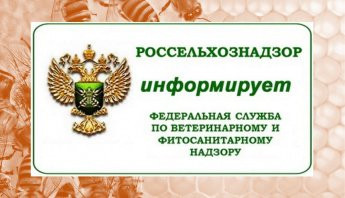 управление Россельхознадзора предупреждает - фото - 1