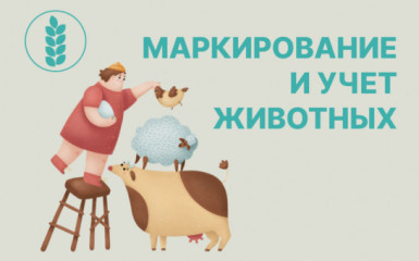 маркирование и учет животных - фото - 1
