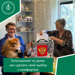 голосование на дому: как сделать свой выбор с комфортом - фото - 1