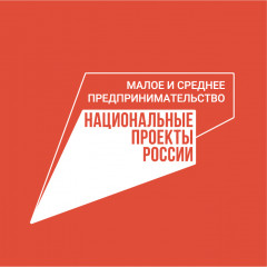 «малое и среднее предпринимательство и поддержка индивидуальной инициативы» - фото - 1